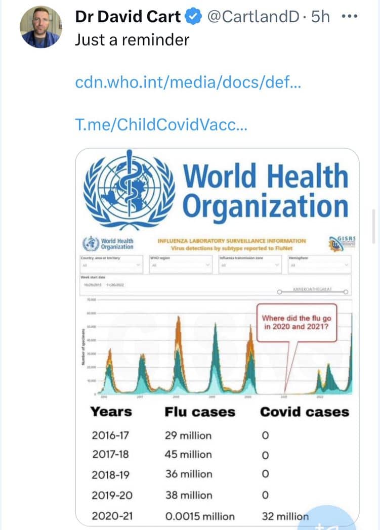 papacy controlled United Nations, UN, World Health Organization Chart Showing With I Reported On My WEB Site Searching For Two Years Not Finding Season Flu--That COVID 19 WAS OVERREPORTED Using Seasonal Flu Cases.jpg